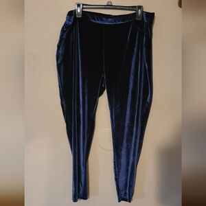 Time and Tru Stretch Velvet Pants - Blue Size 20
